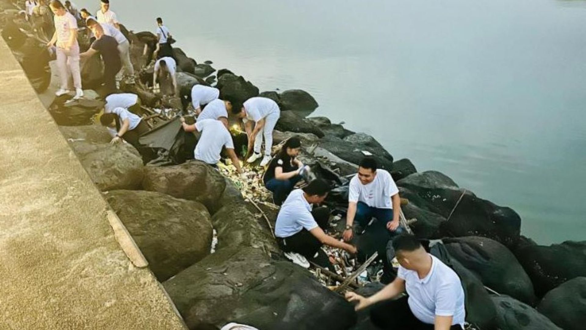 plastic-free communities 4.