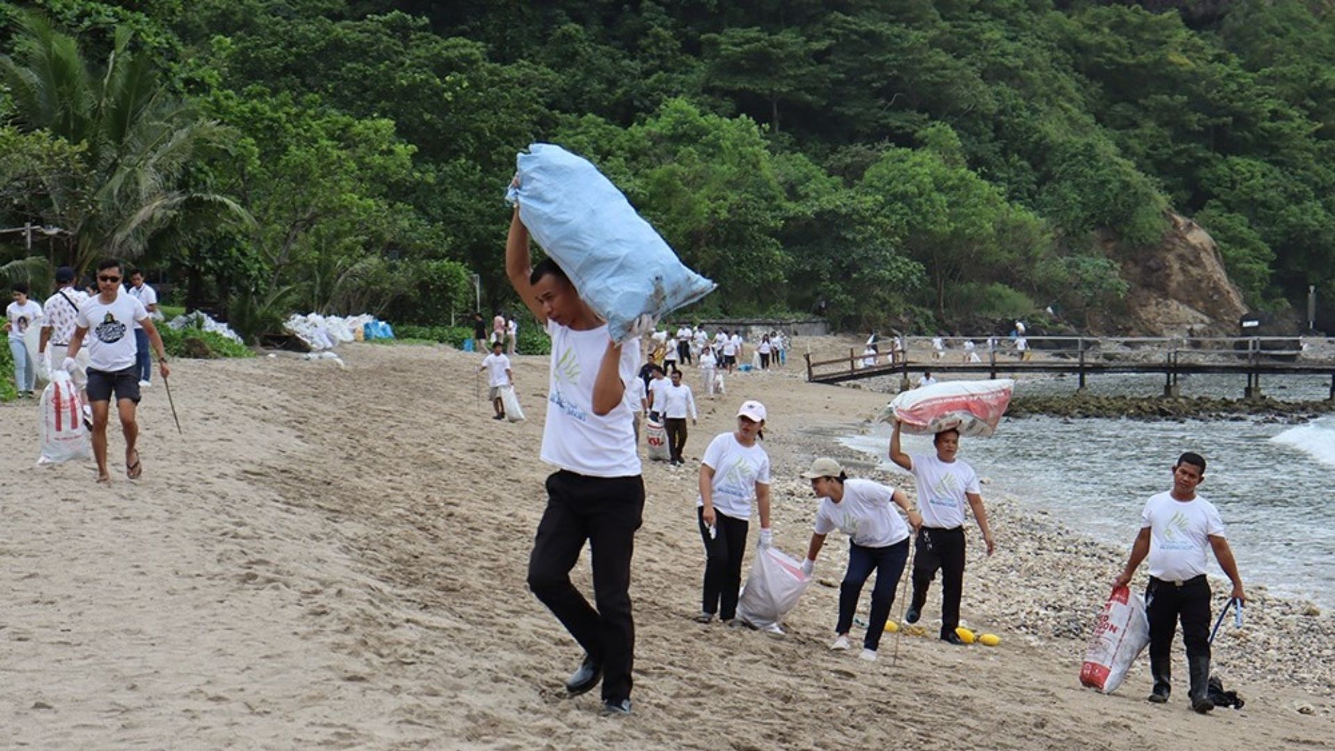 plastic-free communities 5